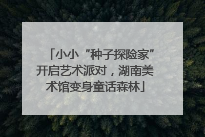 小小“种子探险家”开启艺术派对，湖南美术馆变身童话森林