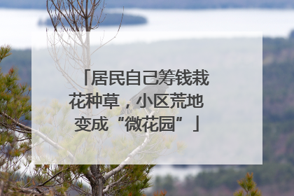 居民自己筹钱栽花种草，小区荒地变成“微花园”