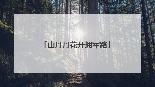 山丹丹花开拥军路