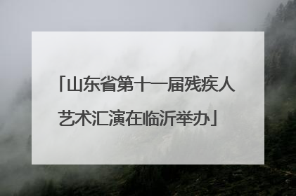 山东省第十一届残疾人艺术汇演在临沂举办