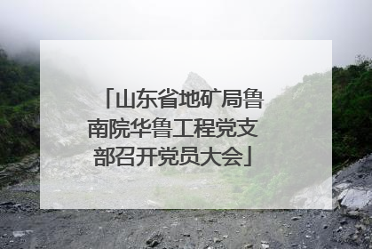 山东省地矿局鲁南院华鲁工程党支部召开党员大会