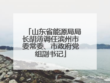 山东省能源局局长胡薄调任滨州市委常委、市政府党组副书记