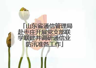 山东省通信管理局赴枣庄开展党支部联学联建并调研通信业防汛准备工作