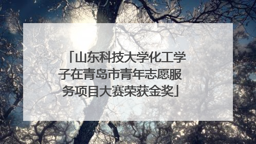 山东科技大学化工学子在青岛市青年志愿服务项目大赛荣获金奖
