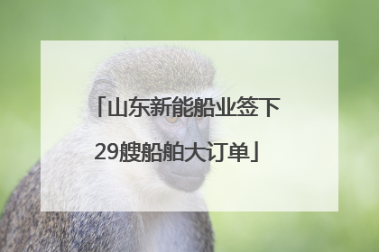 山东新能船业签下29艘船舶大订单