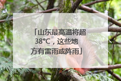 山东最高温将超38°C，这些地方有雷雨或阵雨