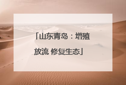 山东青岛：增殖放流 修复生态