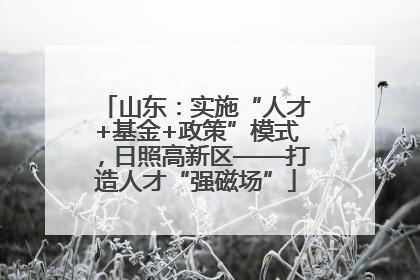 山东：实施“人才+基金+政策”模式，日照高新区——打造人才“强磁场”