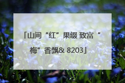 山间“红”果缀 致富“梅”香飘& 8203