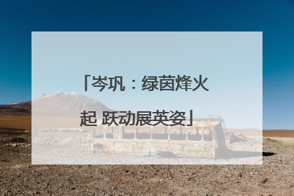 岑巩：绿茵烽火起 跃动展英姿
