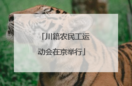 川籍农民工运动会在京举行