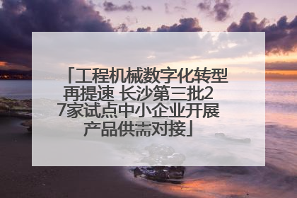 工程机械数字化转型再提速 长沙第三批27家试点中小企业开展产品供需对接