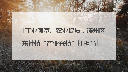工业强基、农业提质，通州区东社镇“产业兴镇”扛担当