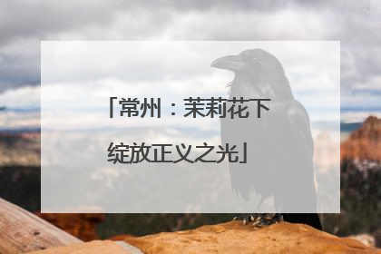 常州：茉莉花下绽放正义之光