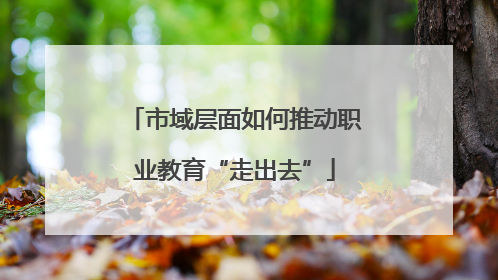 市域层面如何推动职业教育“走出去”