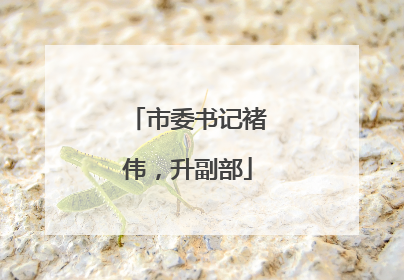 市委书记褚伟，升副部