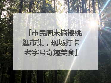 市民周末摘樱桃逛市集，现场打卡老字号奇趣美食