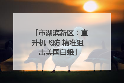 市湖滨新区：直升机飞防 精准狙击美国白蛾