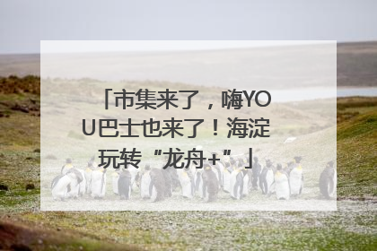 市集来了，嗨YOU巴士也来了！海淀玩转“龙舟+”