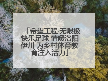 希望工程·无限极快乐足球 情暖洛阳伊川 为乡村体育教育注入活力