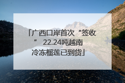 广西口岸首次“签收” 22.24吨越南冷冻榴莲已到货