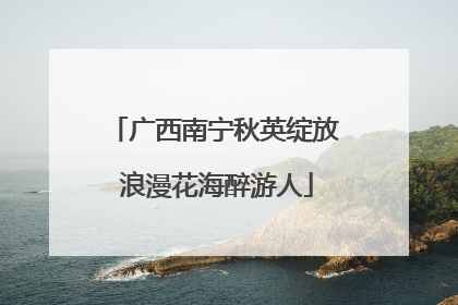 广西南宁秋英绽放 浪漫花海醉游人