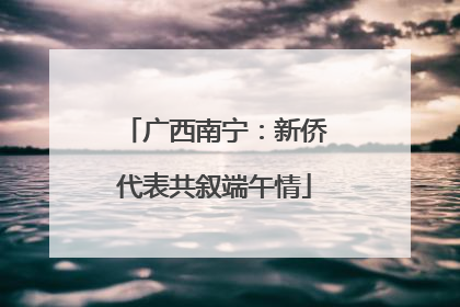 广西南宁：新侨代表共叙端午情