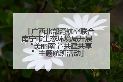 广西北部湾航空联合南宁市生态环境局开展“美丽南宁·共建共享”主题航班活动