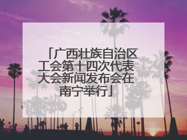广西壮族自治区工会第十四次代表大会新闻发布会在南宁举行