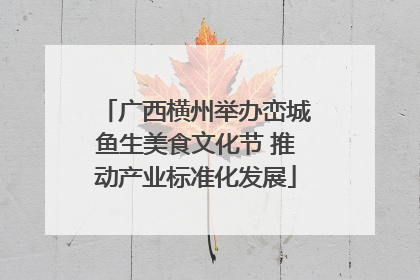 广西横州举办峦城鱼生美食文化节 推动产业标准化发展