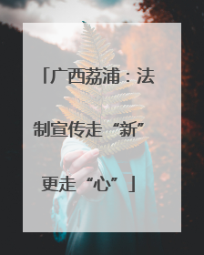 广西荔浦：法制宣传走“新”更走“心”