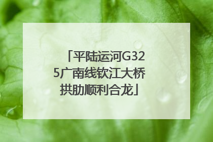 平陆运河G325广南线钦江大桥拱肋顺利合龙