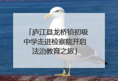 庐江县龙桥镇初级中学走进检察院开启法治教育之旅