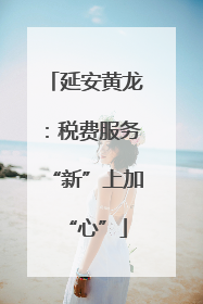 延安黄龙：税费服务“新”上加“心”