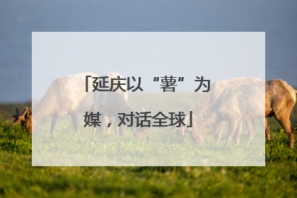 延庆以“薯”为媒，对话全球