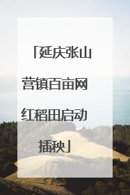 延庆张山营镇百亩网红稻田启动插秧
