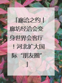 廊洽之约丨廊坊经洽会变身世界会客厅！河北扩大国际“朋友圈”