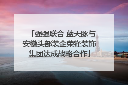 强强联合 蓝天豚与安徽头部装企荣锋装饰集团达成战略合作
