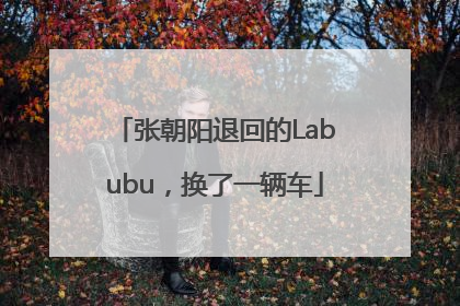 张朝阳退回的Labubu，换了一辆车