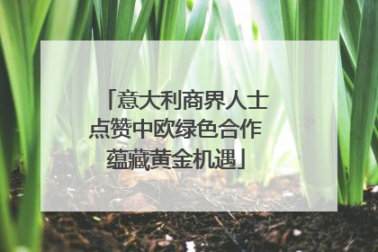 意大利商界人士点赞中欧绿色合作蕴藏黄金机遇