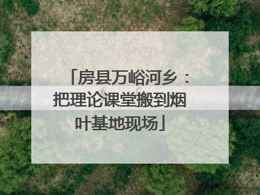 房县万峪河乡：把理论课堂搬到烟叶基地现场