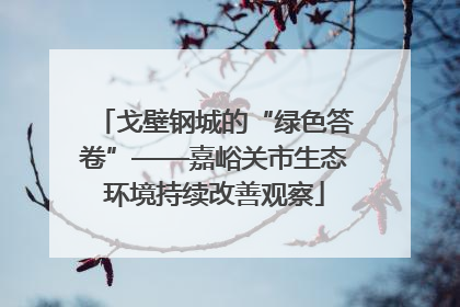 戈壁钢城的“绿色答卷”——嘉峪关市生态环境持续改善观察