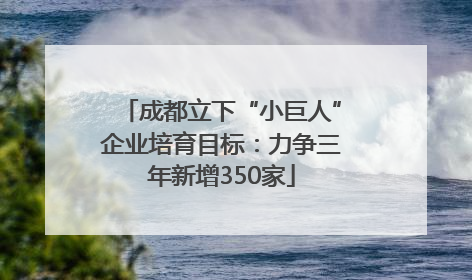 成都立下“小巨人”企业培育目标：力争三年新增350家