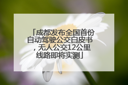 成都发布全国首份自动驾驶公交白皮书，无人公交12公里线路即将实测