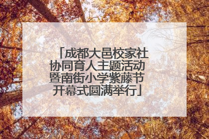 成都大邑校家社协同育人主题活动暨南街小学紫藤节开幕式圆满举行