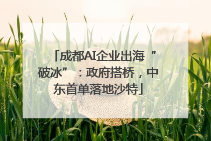 成都AI企业出海“破冰”：政府搭桥，中东首单落地沙特
