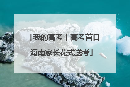 我的高考丨高考首日 海南家长花式送考
