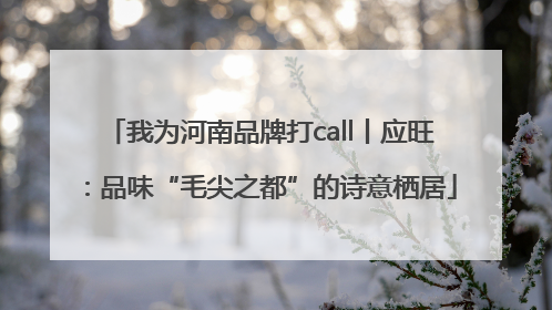 我为河南品牌打call丨应旺：品味“毛尖之都”的诗意栖居