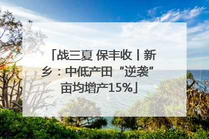 战三夏 保丰收丨新乡：中低产田“逆袭” 亩均增产15%