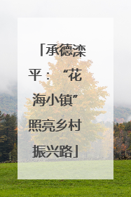 承德滦平：“花海小镇”照亮乡村振兴路